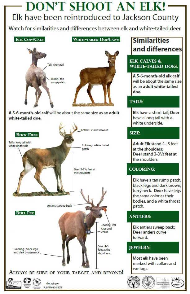 Know Your Target: Don't Accidentally Shoot Elk & Moose This Hunting Season