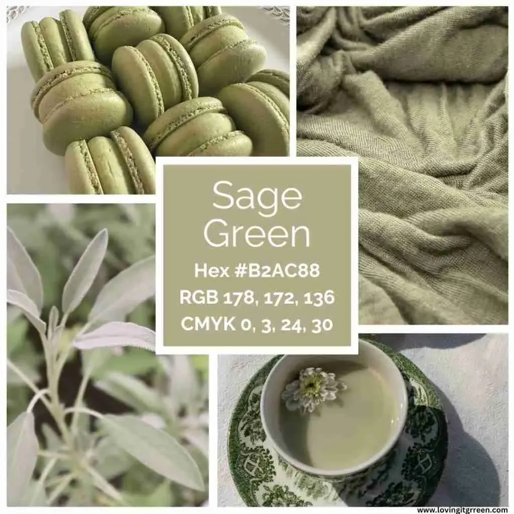 How To Use Sage Green: Best Colour Combinations