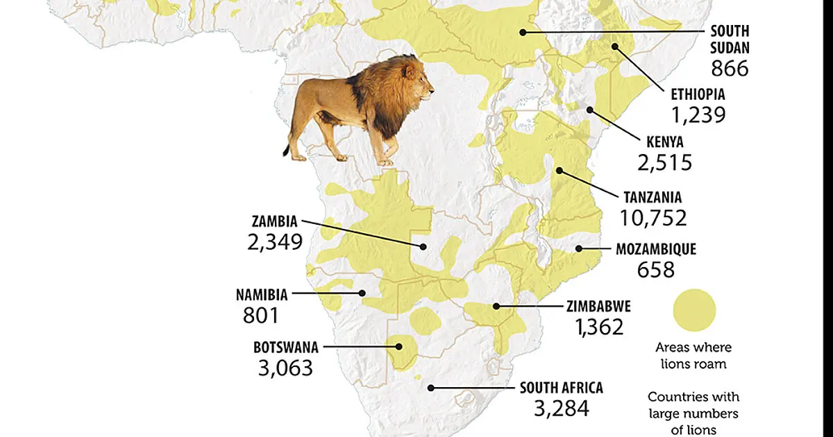 Lions: Where and How They Live