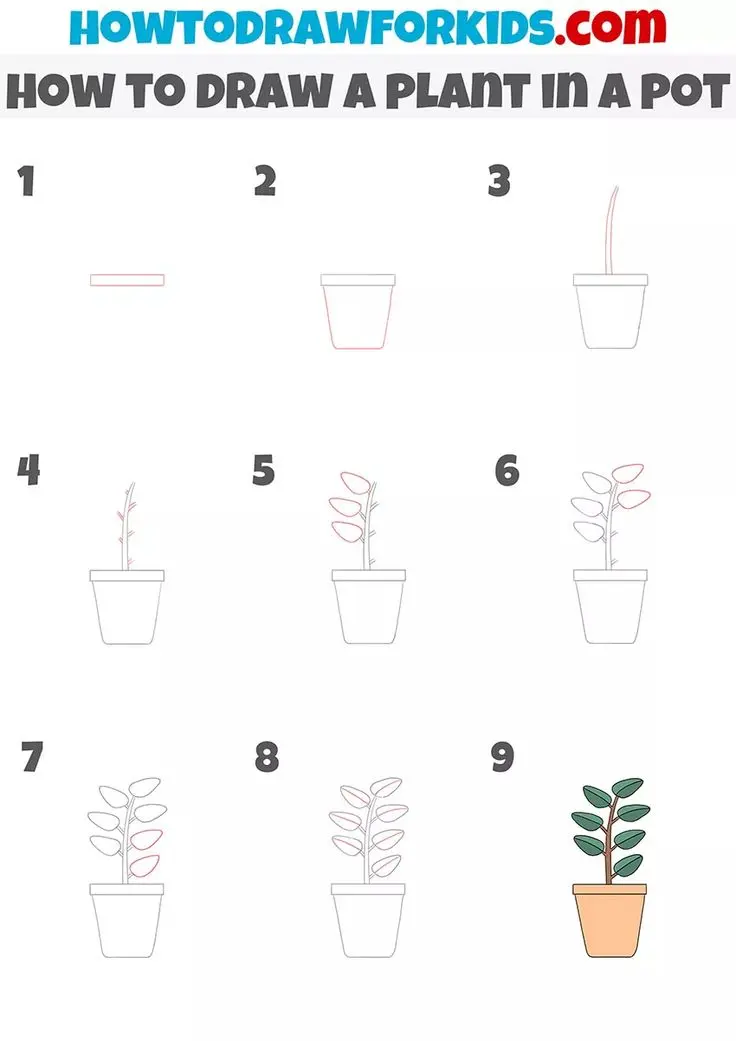 How to Draw a Plant in a Pot