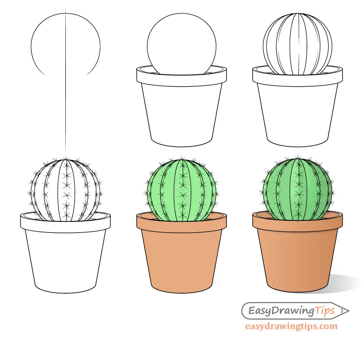 Draw a Cactus in a Plant Pot Step by Step
