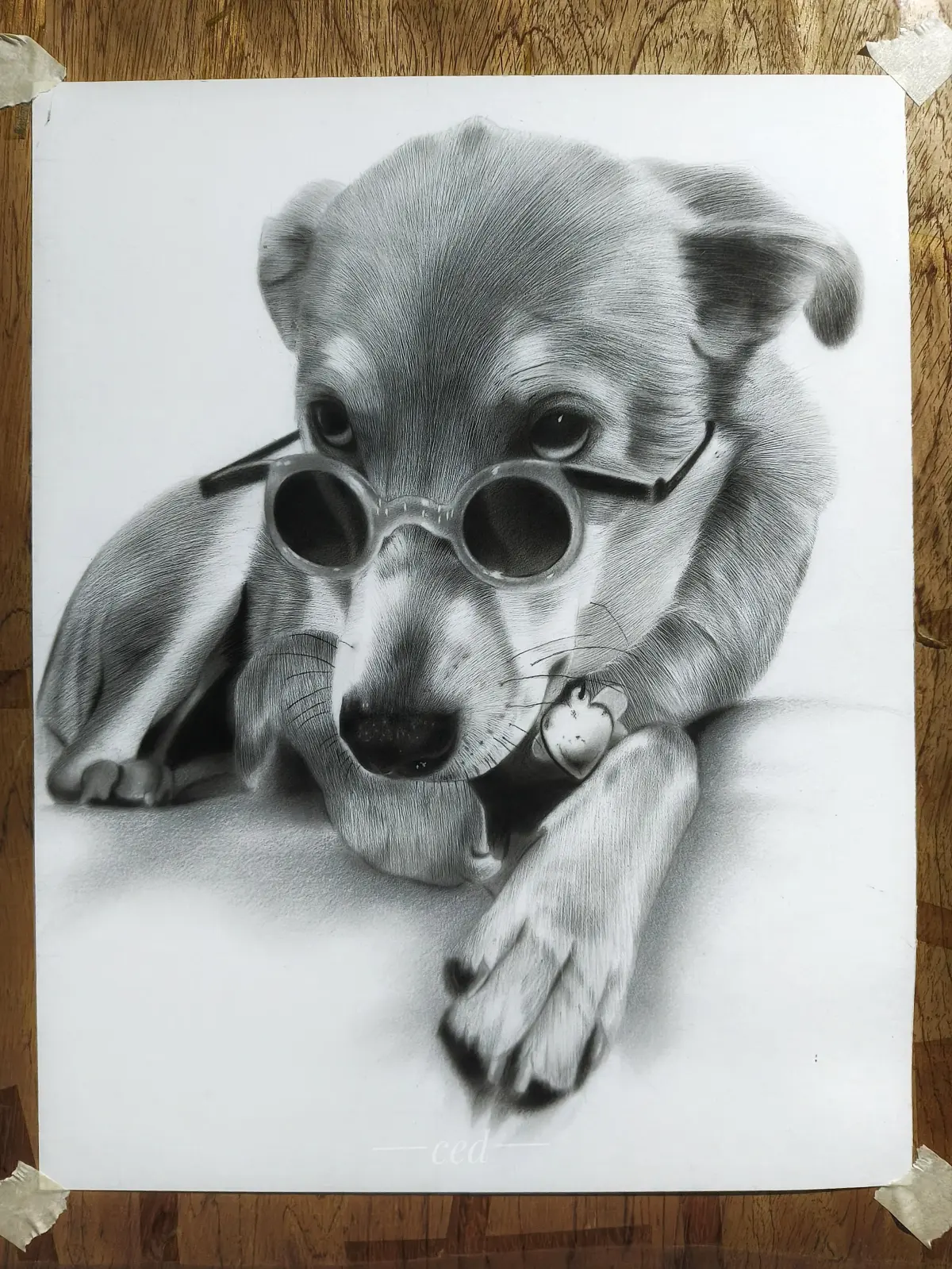 Realistic charcoal and graphite dog portrait for a client