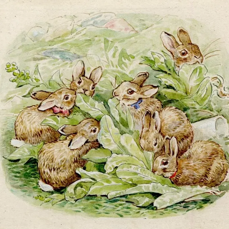 Beatrix Potter, the Flopsy Bunnies and the British Museum