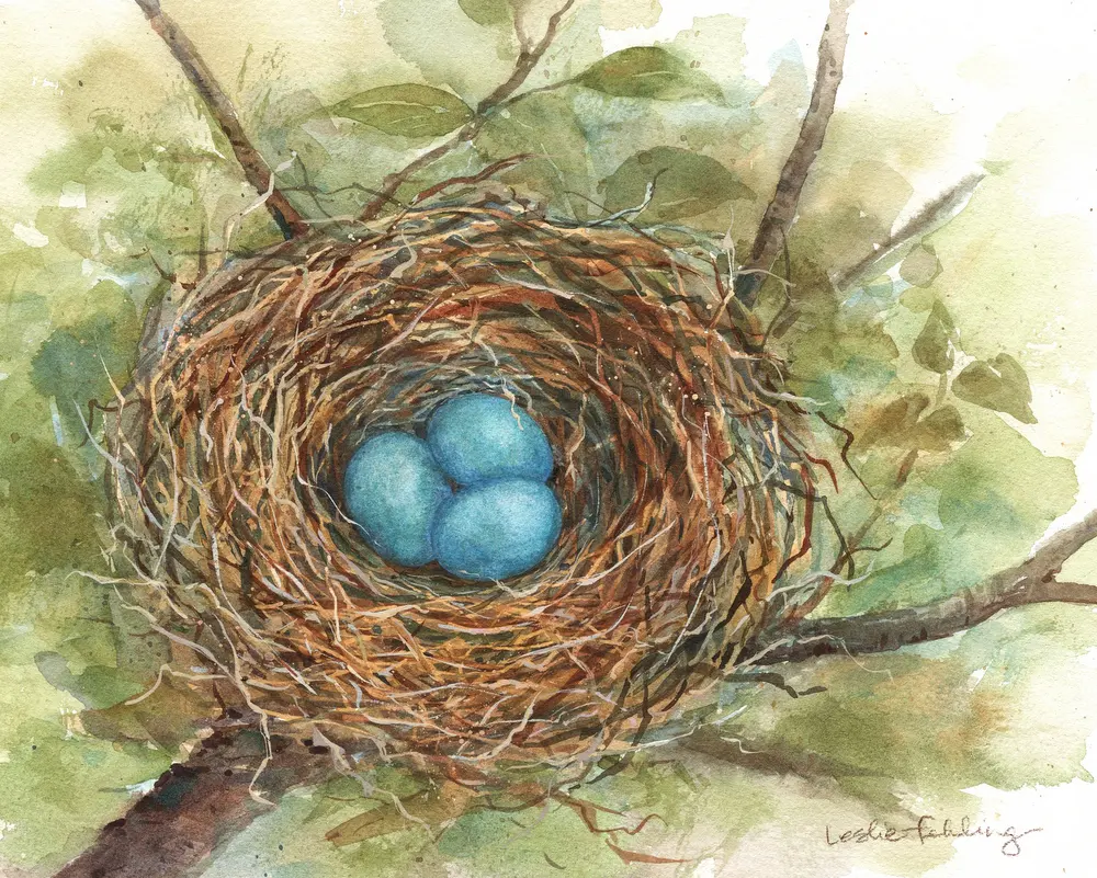 Painting a Bird's Nest