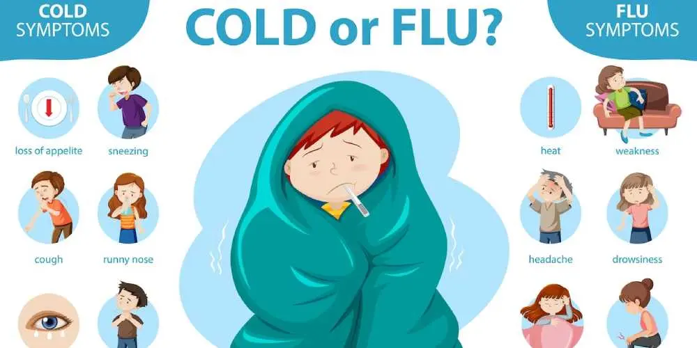 Cold flu — image 2