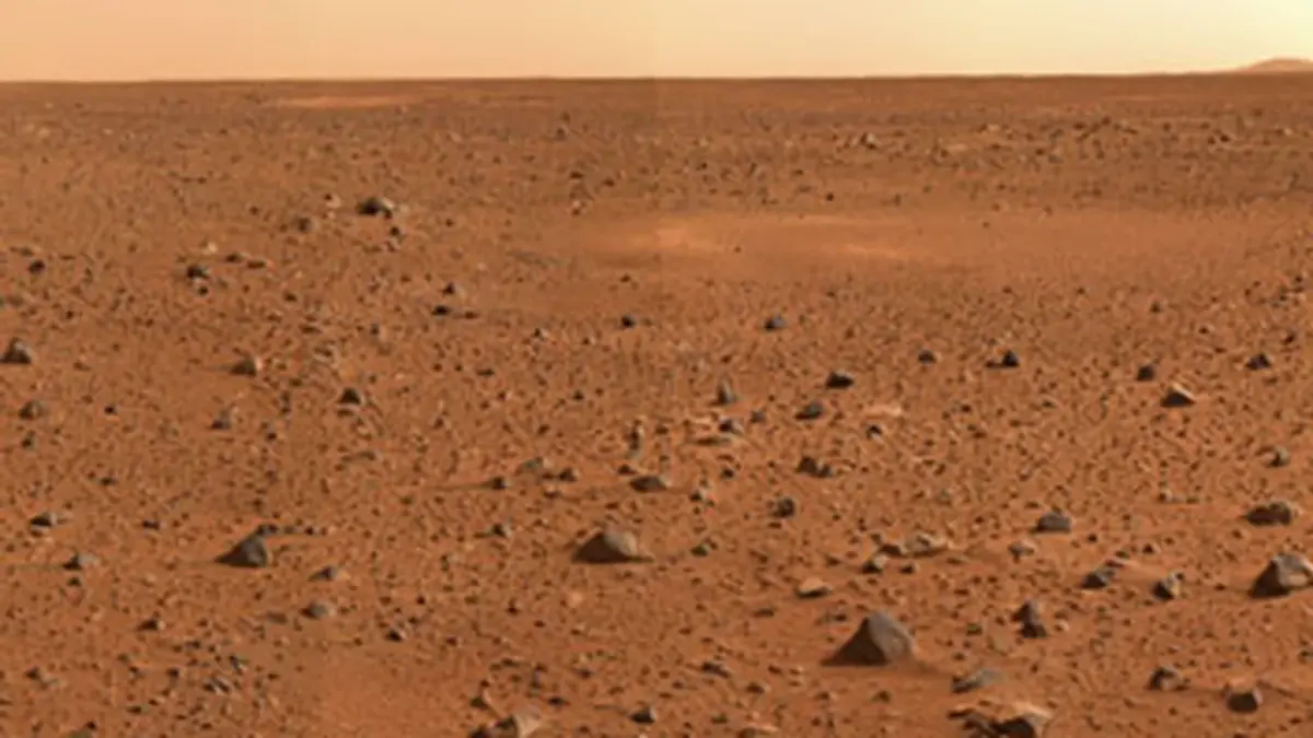 Life on Mars?