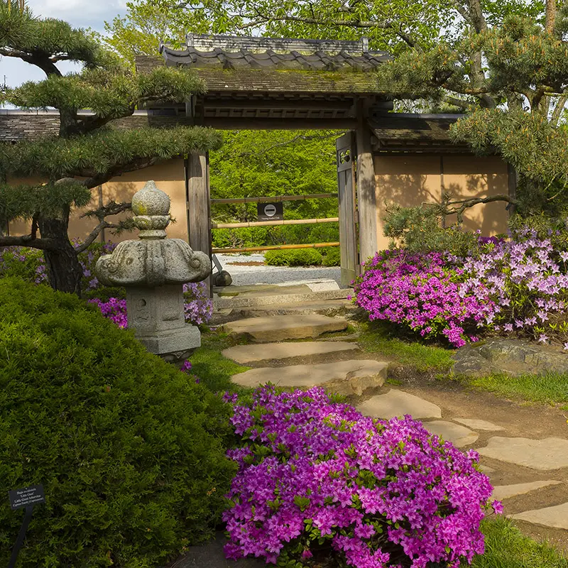 Elizabeth Hubert Malott Japanese Garden