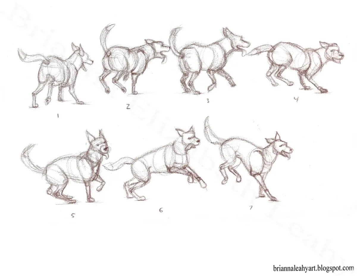 Draw animals motion — image 2