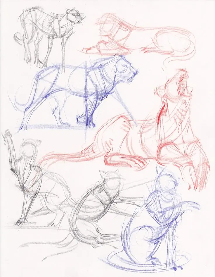 Draw animals motion — image 3