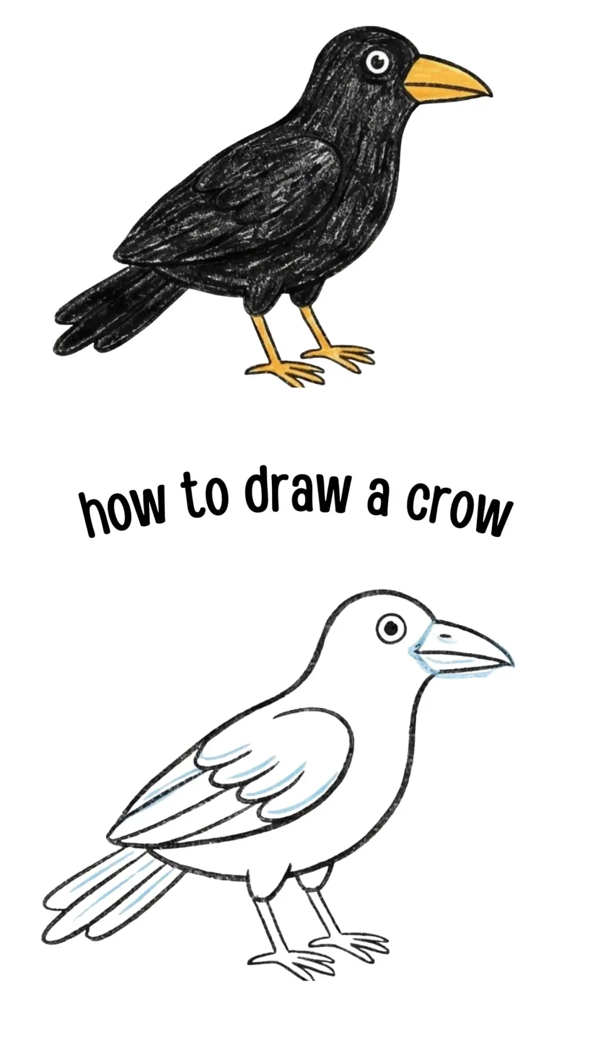How to Draw a Crow Easy Step by Step for Kids