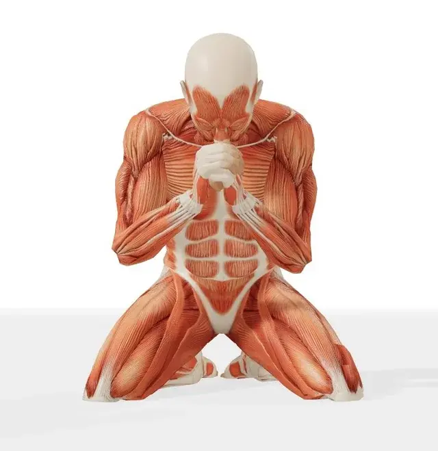 How do I draw someone kneeling in this very specific way?