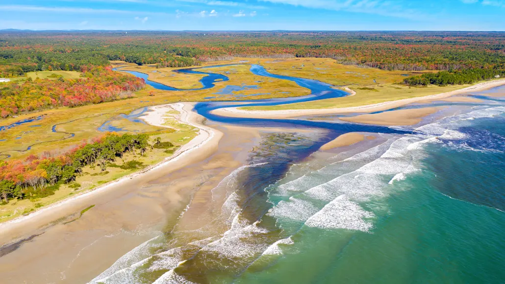 Scientists Say: Estuary