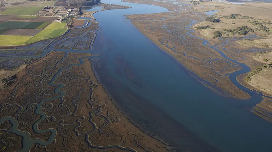 What is an estuary?