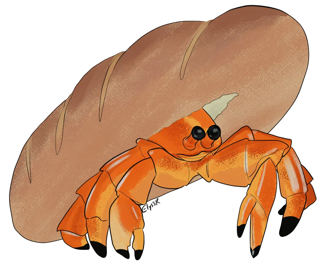 Need a hermit crab drawing