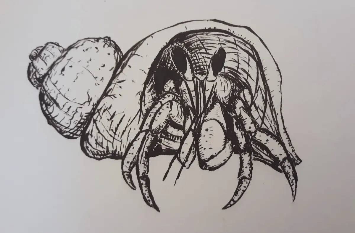 I drew this little crab. While I'm mostly happy with it, I'm a bit confused on how I should have handled the l