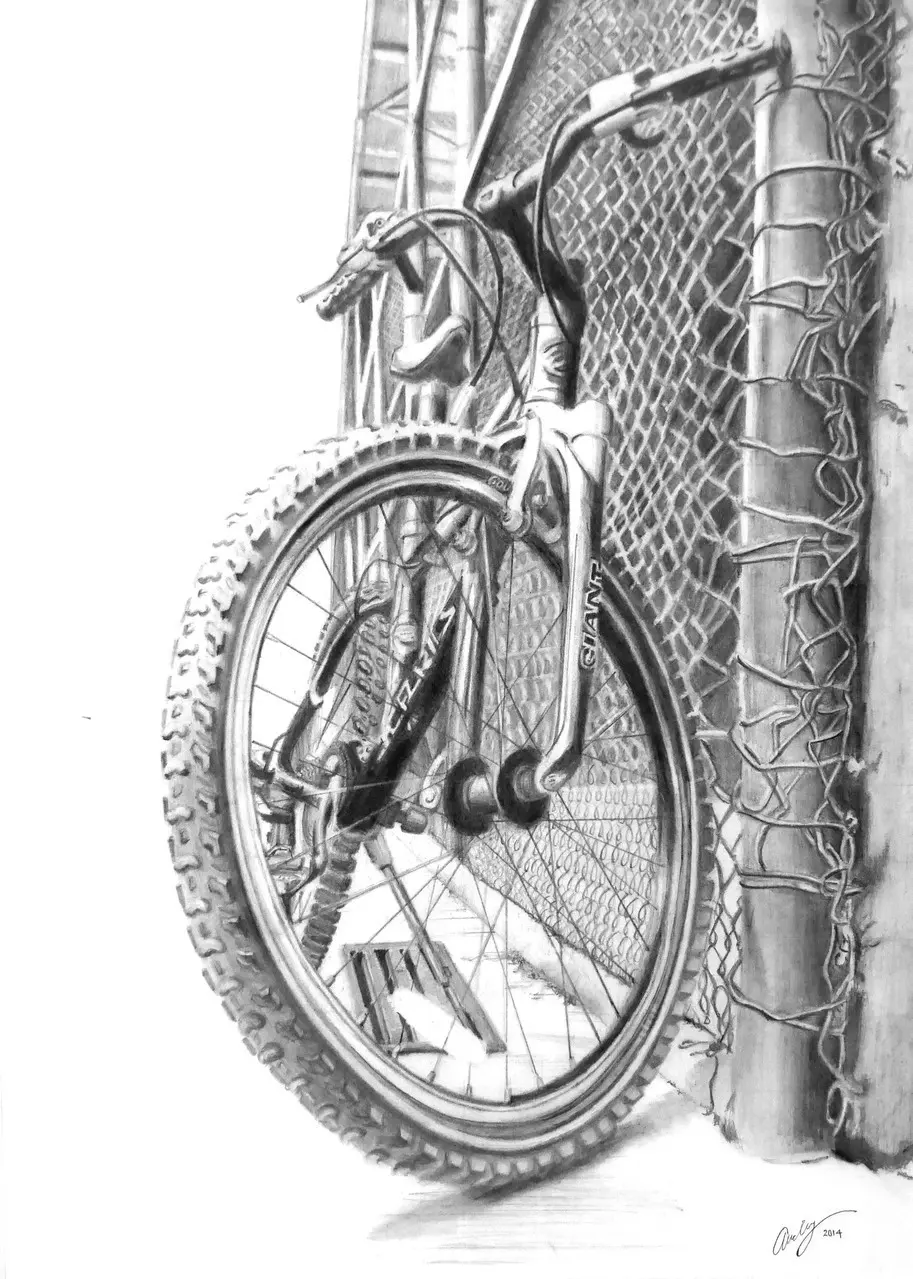 Through the Bicycle Wheel