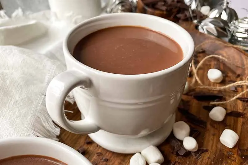 The Best Homemade Hot Chocolate