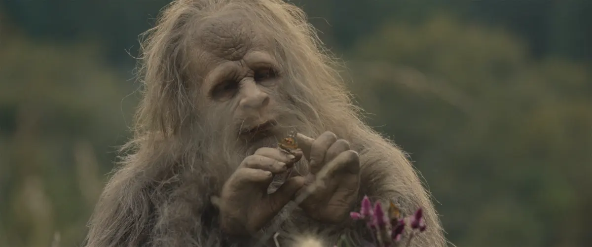 Sasquatch — image 3