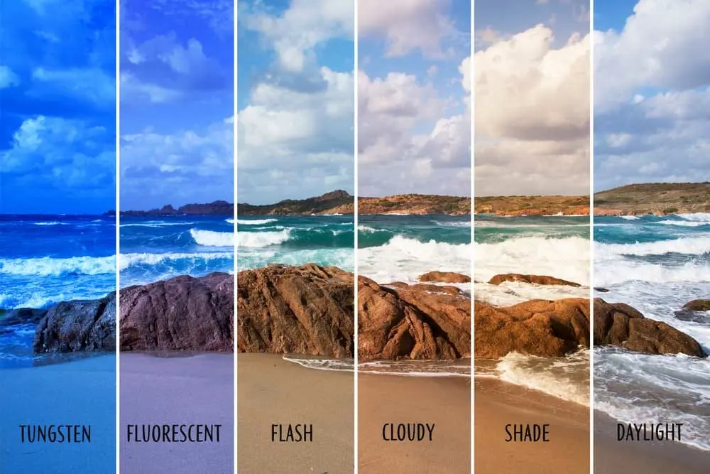 White Balance Explained: How to Get True Colours