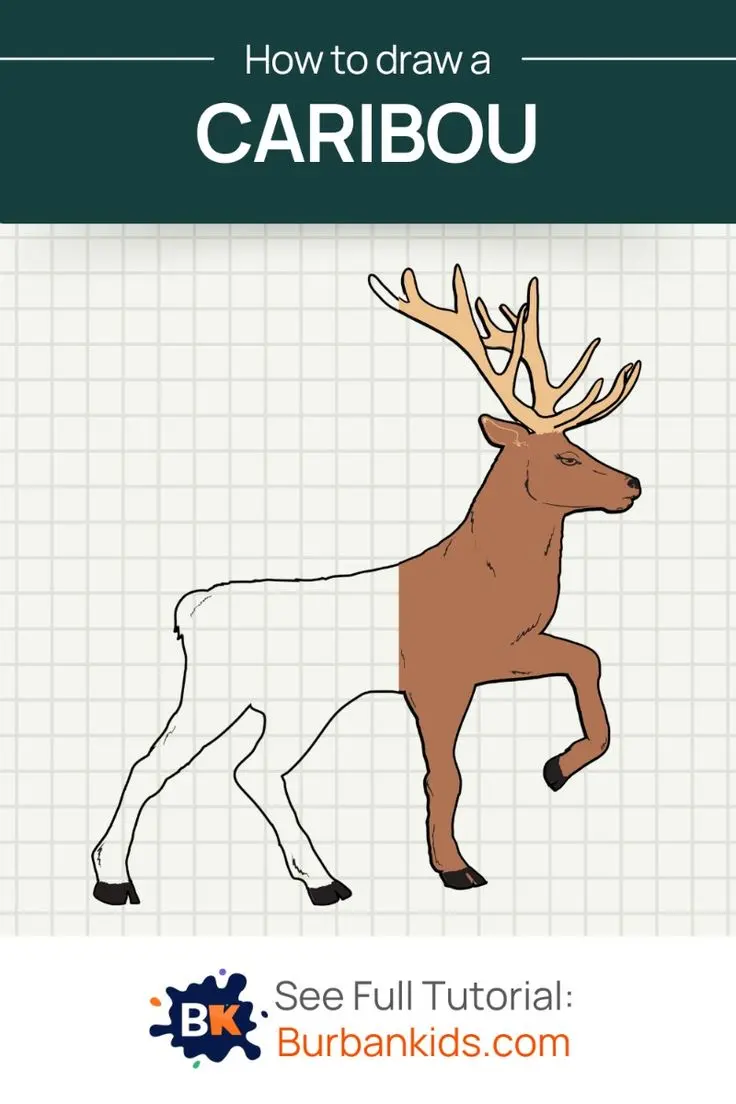 How To Draw A Caribou