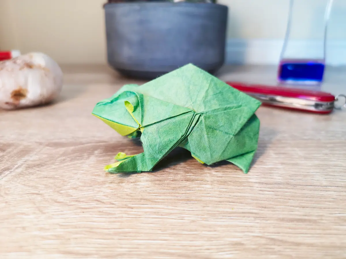 An Origami Frog I folded from 1 uncut sheet of paper!