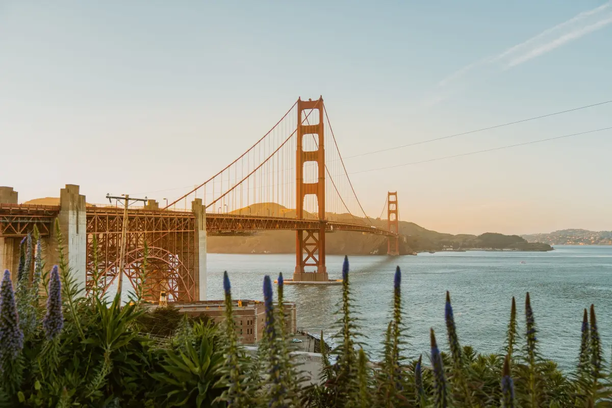 The Ultimate Local's Travel Guide to San Francisco