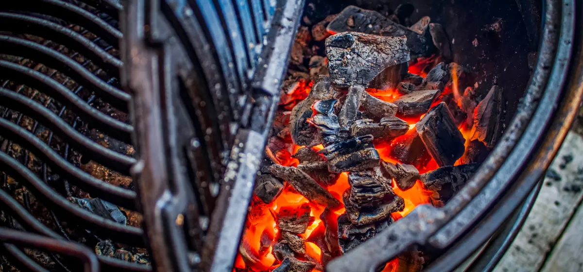 Exploring Charcoal: What is it and Where Does it Come From?