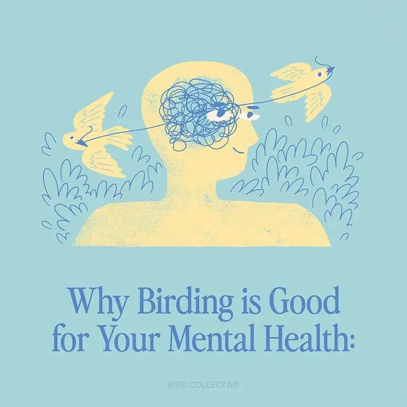 What are the benefits of birdwatching