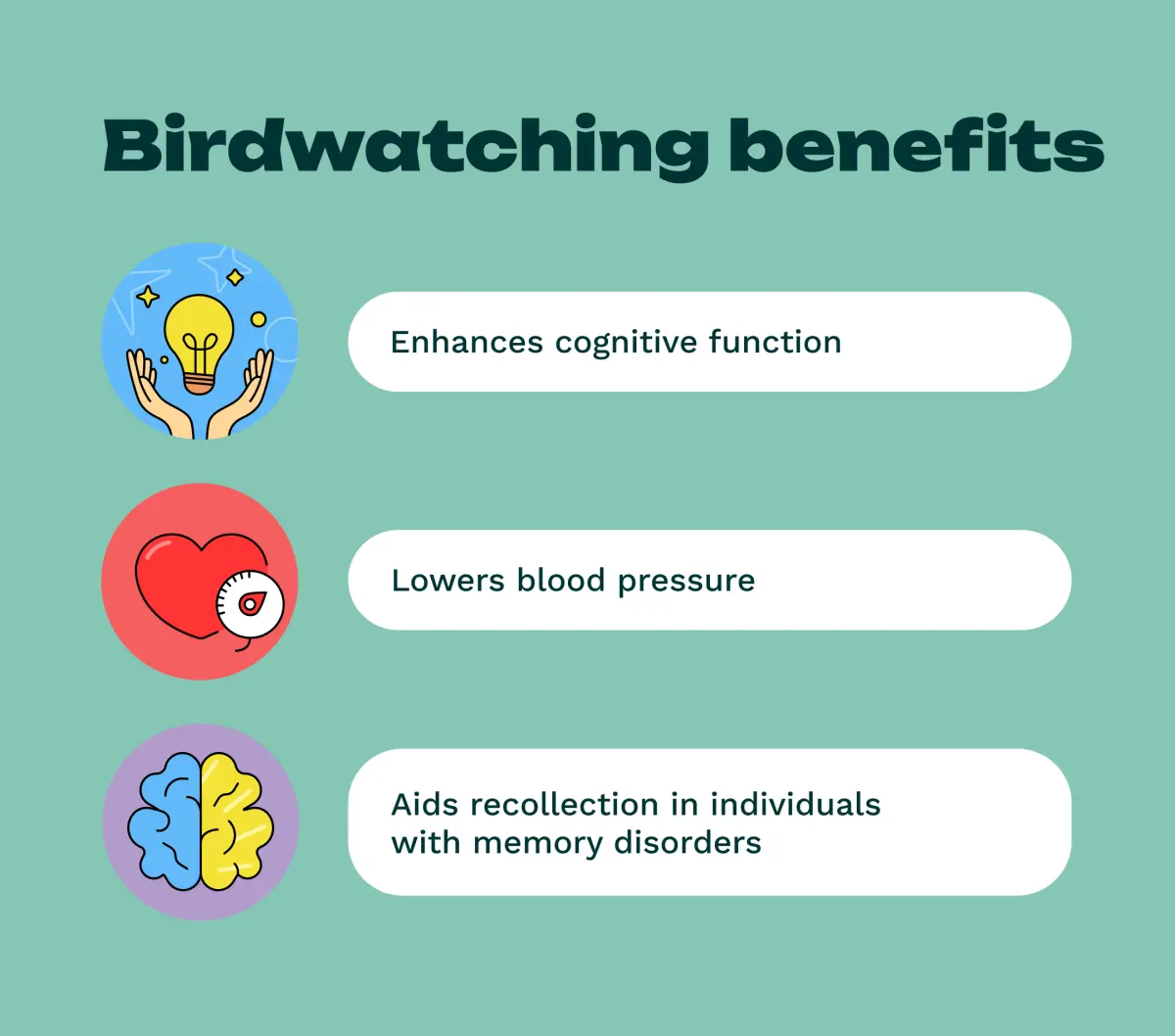 Benefits birdwatching — image 2