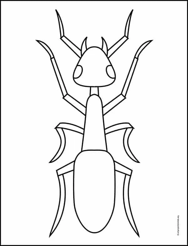 Easy How to Draw an Ant Tutorial and Ant Coloring Page