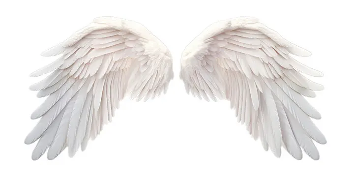 Angel Wings Drawing