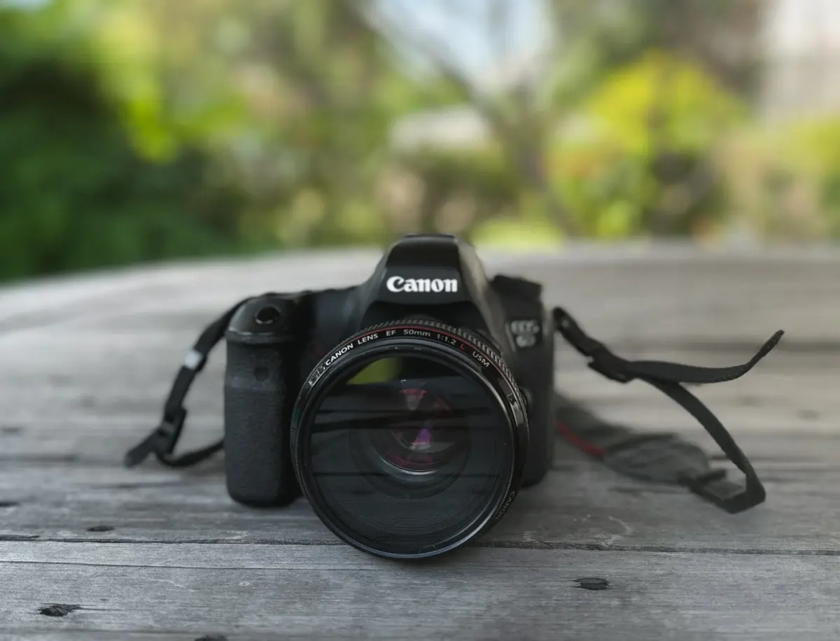15 Best Digital Cameras for Beginner Photographers under $1500