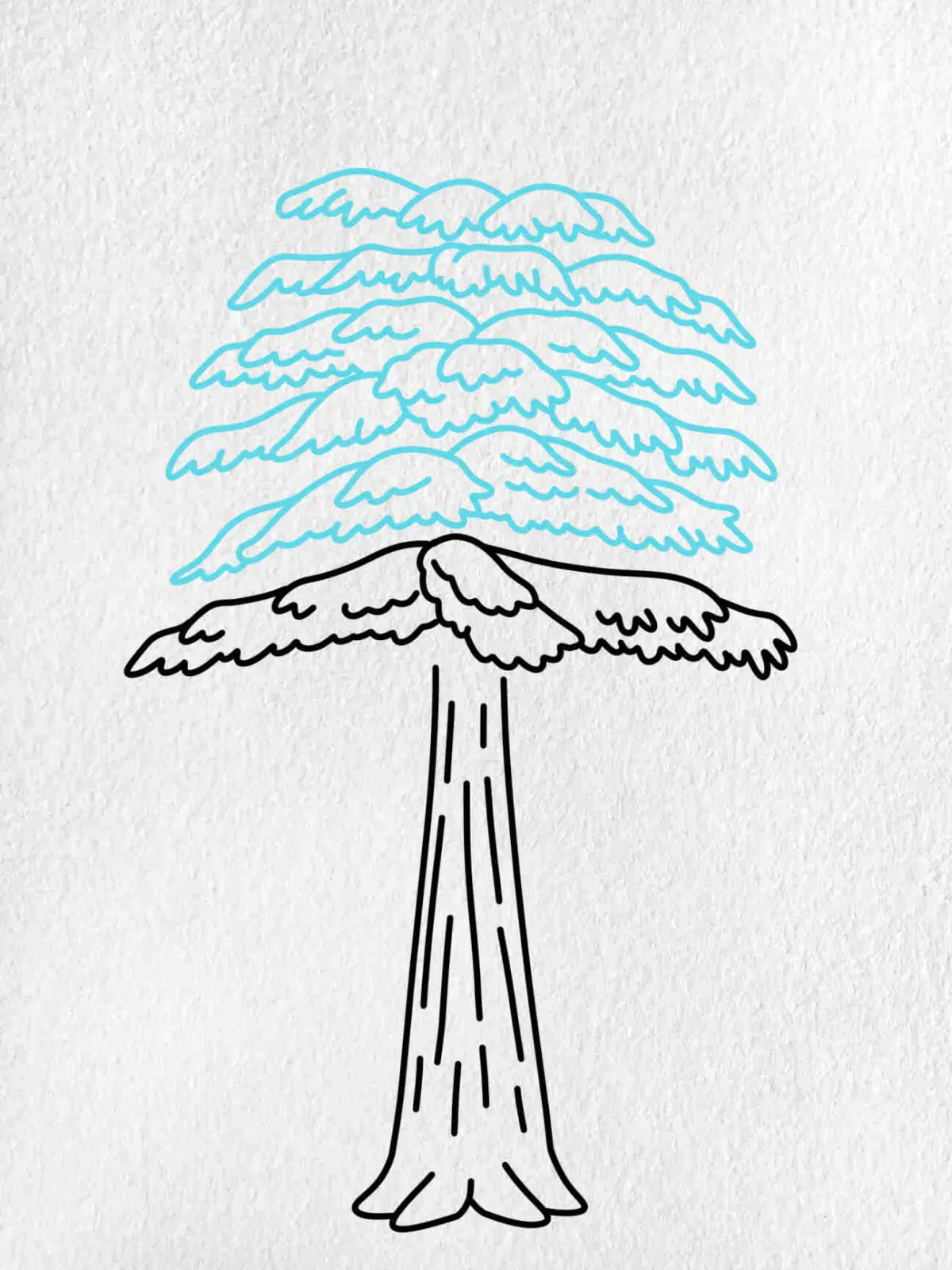 How to Draw a Cedar Tree