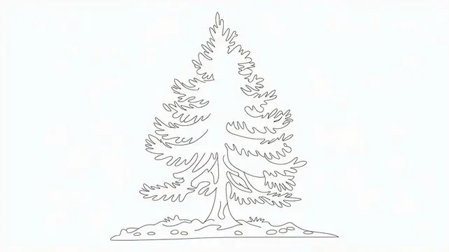 Cedar Tree Drawing