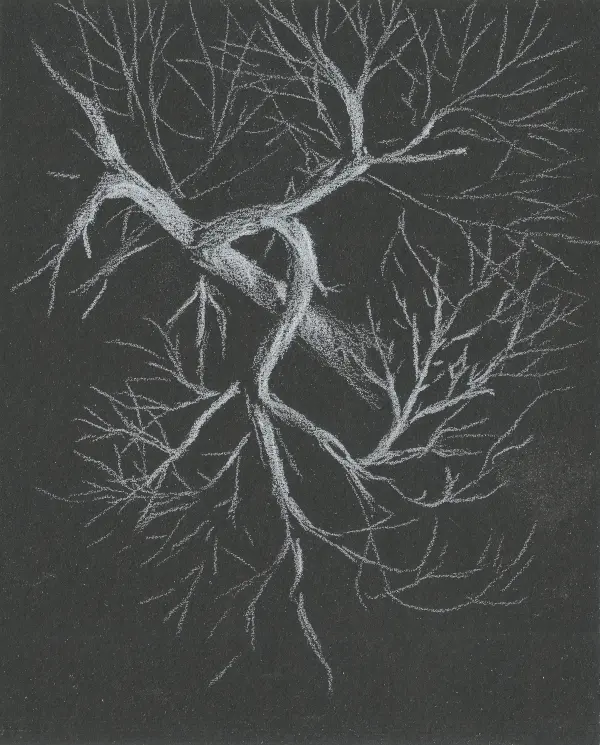 Tips for Drawing on Black Paper