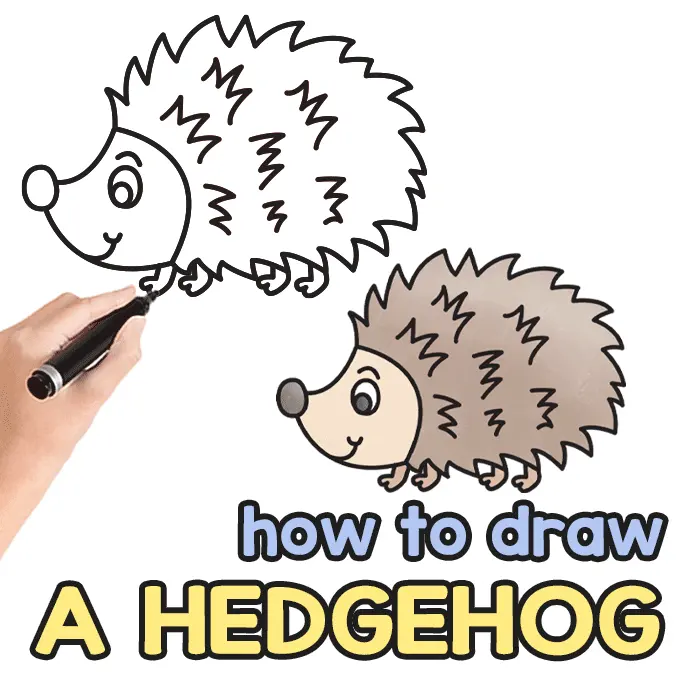 How to Draw a Hedgehog