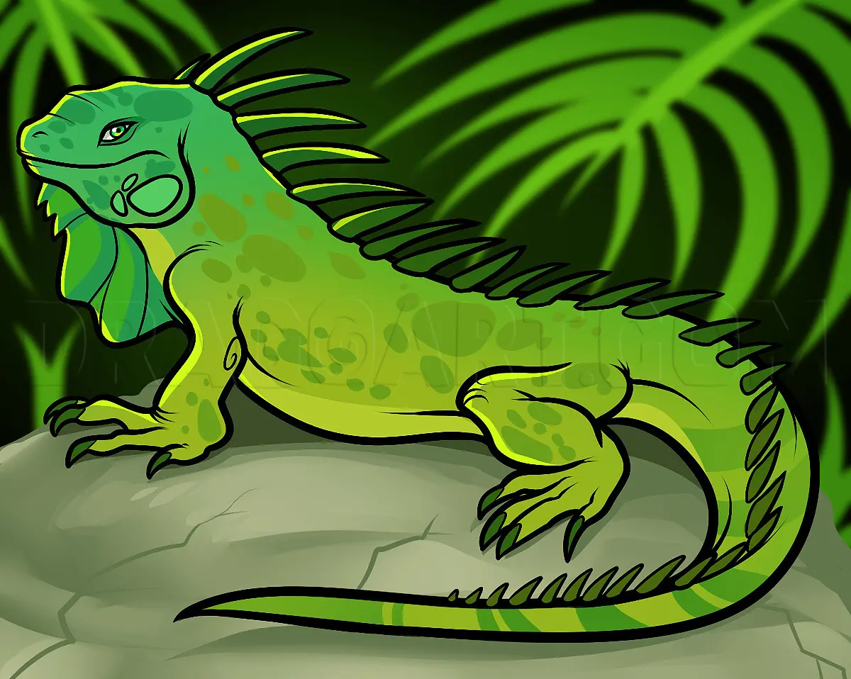 How To Draw An Iguana, Drawing, Step by Step, by Dawn