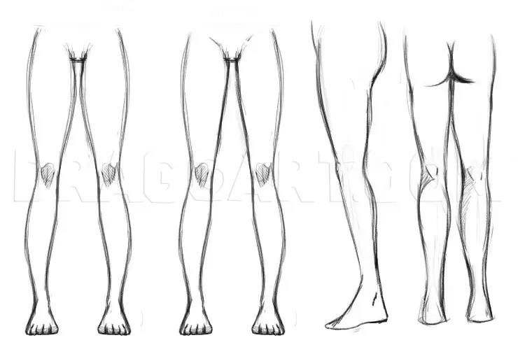 How To Draw Legs, Drawing, Step by Step, by Dawn