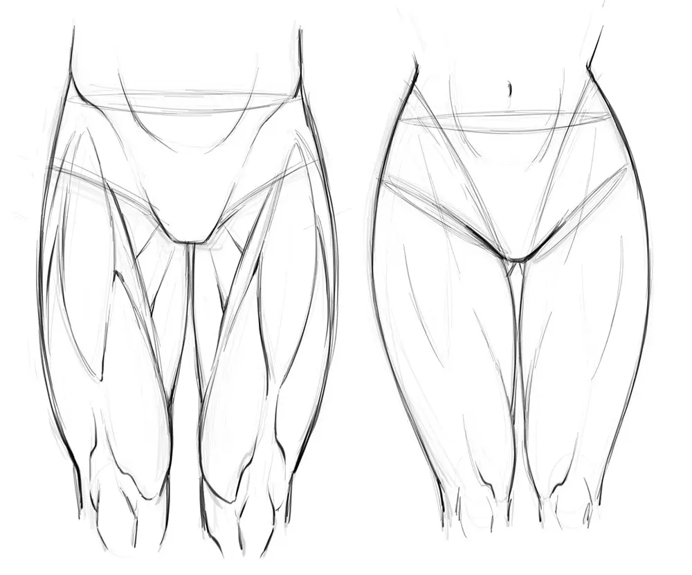 5 Tips on How to Draw Leg Anatomy -Tutorial