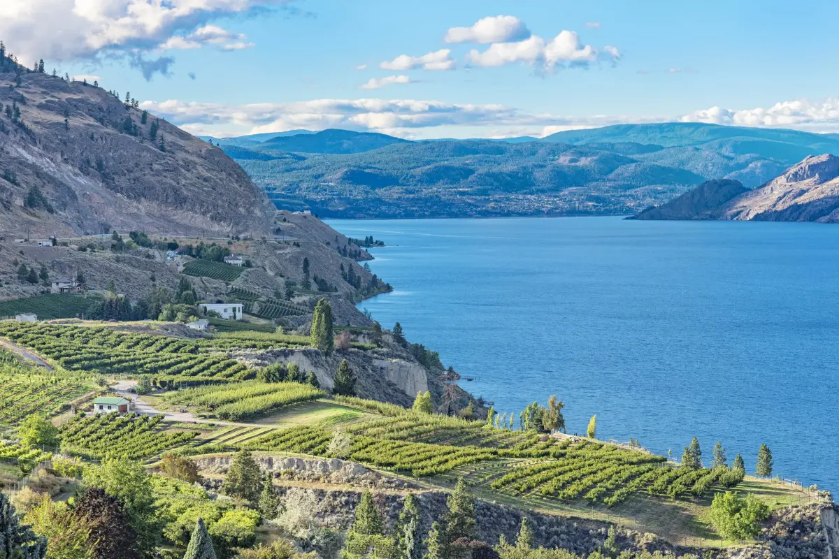 The wine-growing Okanagan Valley in B.C. has a cryptic allure