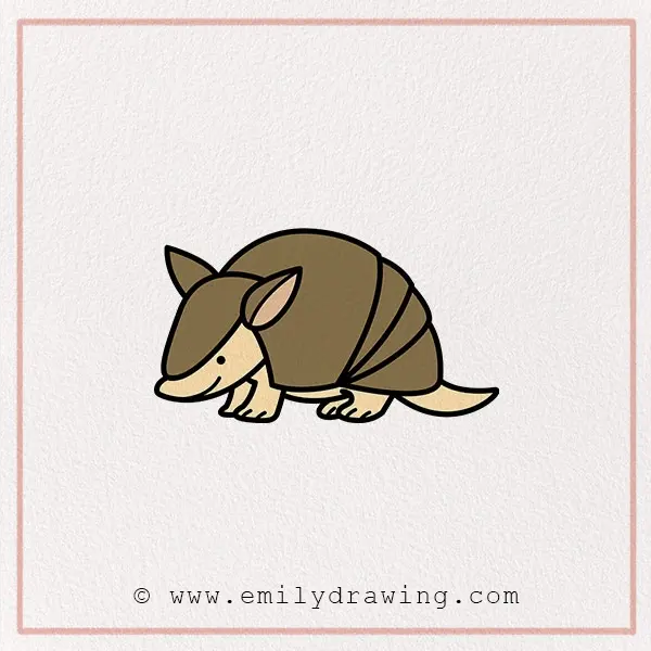 How to Draw an Armadillo