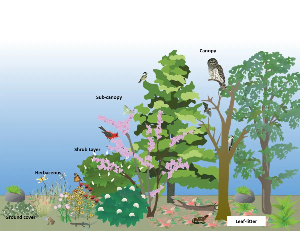 What is Habitat? Space is Relative for Wildlife