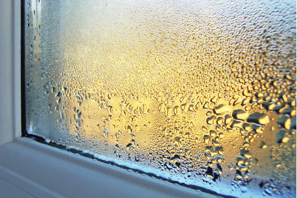 Seasonal Tips: Managing Window Condensation Through the Year