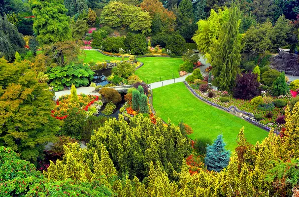 Queen Elizabeth Park Reviews