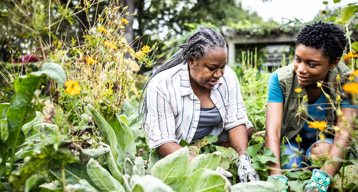 11 Benefits of Gardening (Besides a Yard Full of Gorgeous Flowers)