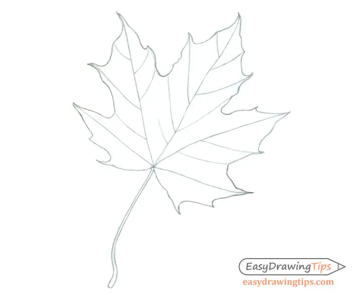 How to Draw a Maple Leaf in 3 Steps- EasyDrawingTips