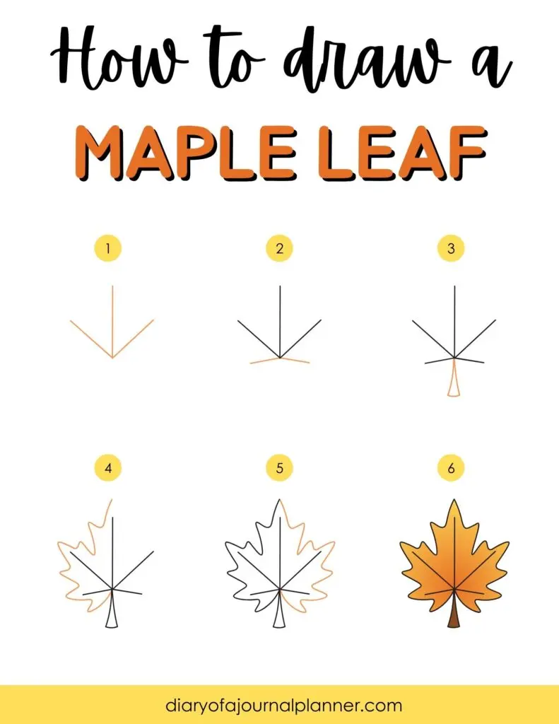How To Draw A Maple Leaf