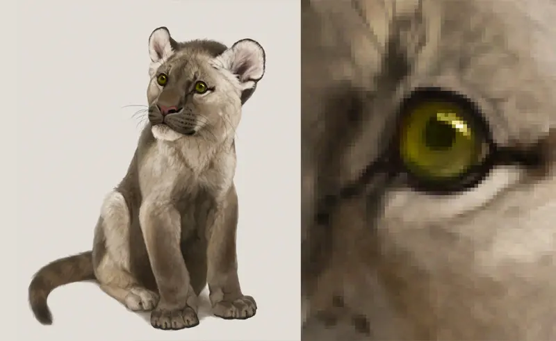 What DPI, Size, and Resolution are Best for Digital Art?