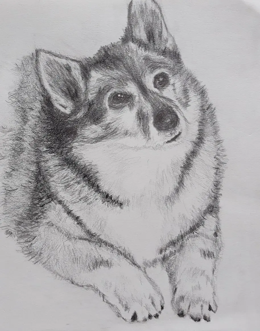 Can Anyone Learn to Draw?