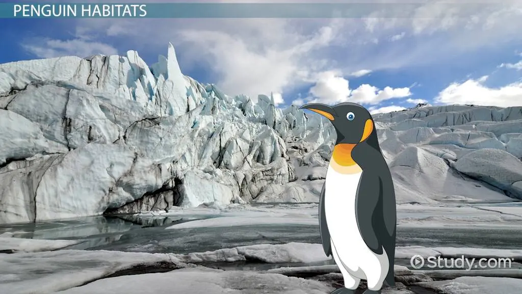 Where Do Penguins Live?